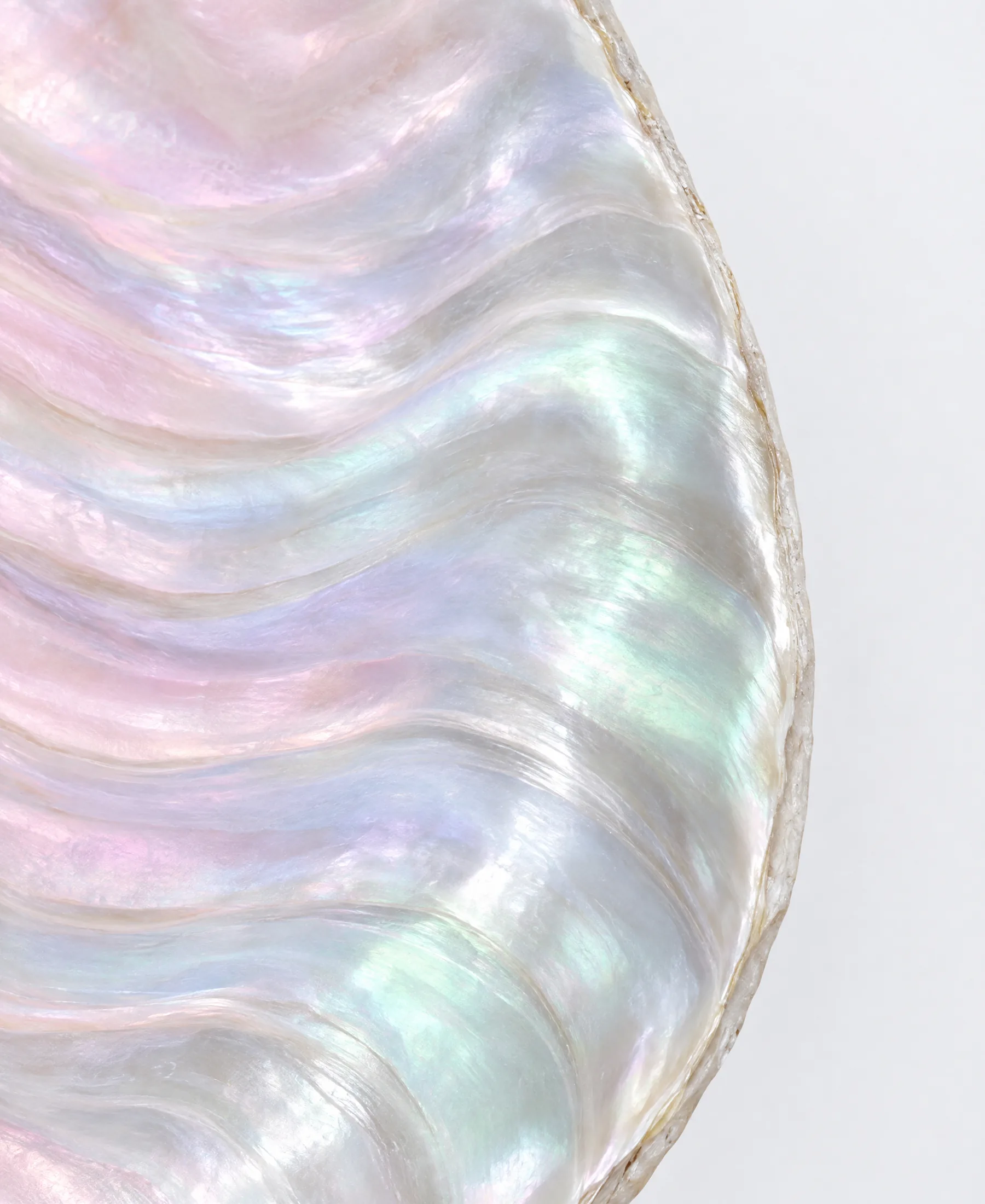Close-up of polished mother-of-pearl with soft ribbons of pink, lavender and mint